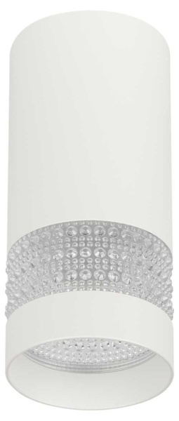 Настенно-потолочный светильник ЭРА OL41 WH/WH Б0058486
