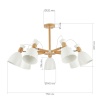 Потолочная люстра Evoluce Balcamo SLE103802-07