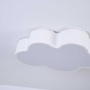 Потолочный светодиодный светильник Imperium Loft Cloud 101448-26