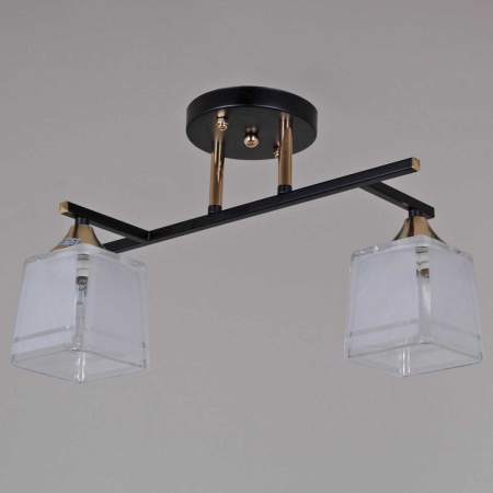 Потолочная люстра Reluce 46460-0.3-02 BK+FG