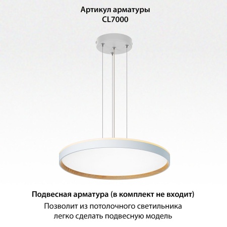 Потолочный светодиодный светильник Citilux Etalon CL750500R