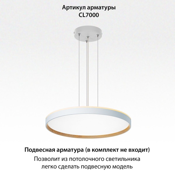 Потолочный светодиодный светильник Citilux Etalon CL750500R