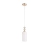Подвесной светильник ST Luce Elegra SL1402.253.01