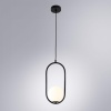Подвесной светильник Arte Lamp Matisse A7745SP-1BK