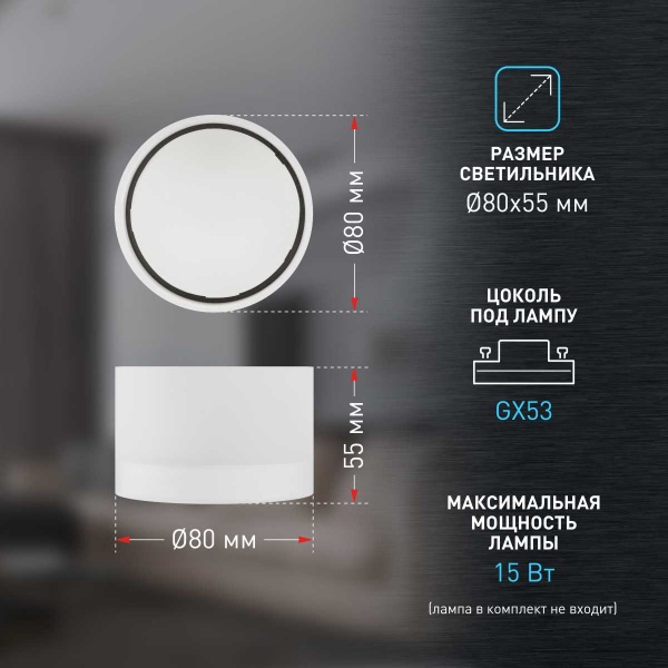 Настенно-потолочный светильник ЭРА OL30 WH Б0056359