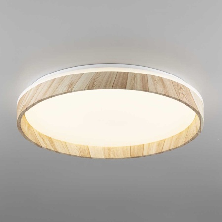 Потолочный светодиодный светильник Citilux Enzo CL753452G