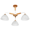 Потолочная люстра Arte Lamp Matthew A5032PL-3BR