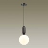 Подвесной светильник Odeon Light Pendant Okia 4668/1