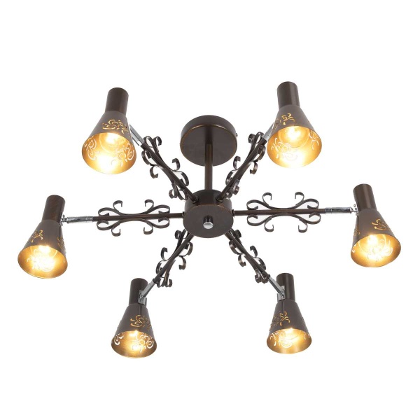 Потолочная люстра Citilux Дункан CL529161