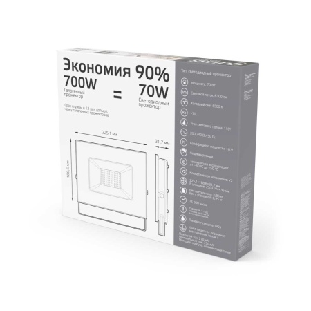 Прожектор светодиодный Gauss 70W 688100370