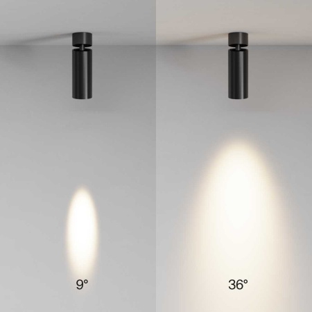 Потолочный светильник Maytoni Technical C055CL-L12W2.7K-SS-B