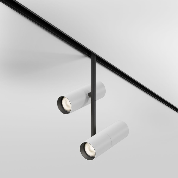 Трековый светодиодный светильник Maytoni Technical Magnetic Exility Elti Duo TR005-2-2X12W3K-BW