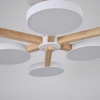 Потолочный светильник Imperium Loft TURNA-B01 141108-26