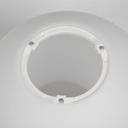 Светильник потолочный Citilux RON CL941D20B1