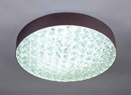 Потолочный светодиодный светильник Escada 10246/1LED