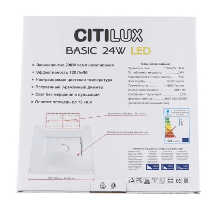 Светильник накладной Citilux Бейсик CL738K242V