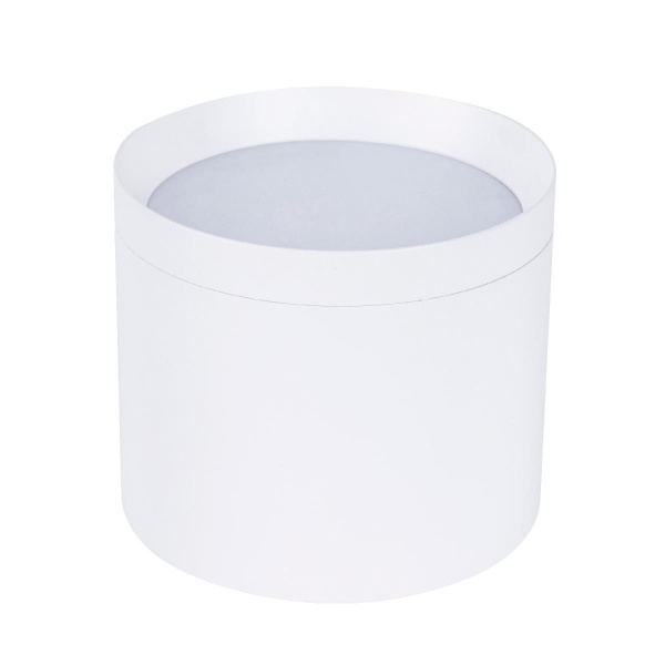 Накладной светильник Favourite 4708-1C