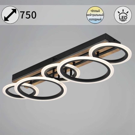 Светильник потолочный Reluce 00330-0.3-3+2