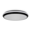 Потолочный светильник Freya Пирог / Pie FR6086CL-L117B