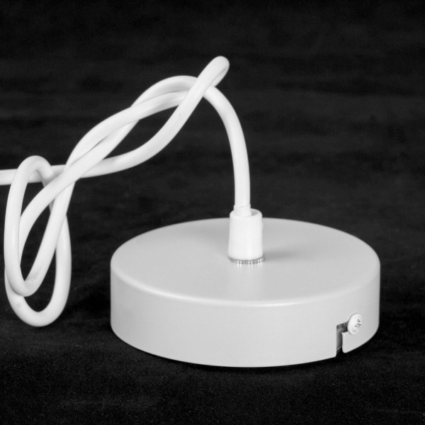 Подвесная люстра Lussole Lgo LSP-8970