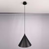 Подвесной светильник Imperium Loft Roundew D29 Black 302464-26