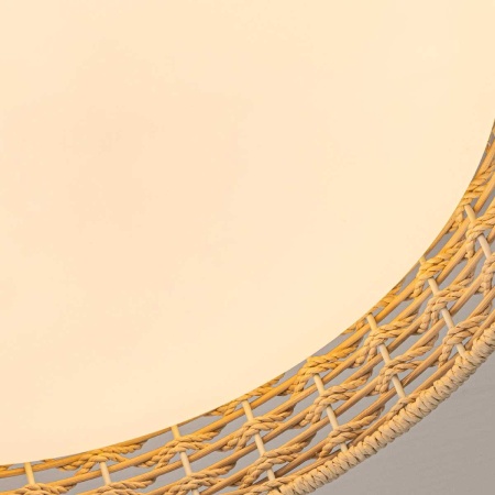 Потолочный светильник F-Promo 4749-4C