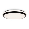 Потолочный светильник Freya Пирог / Pie FR6086CL-L117B