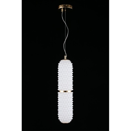 Подвесной светодиодный светильник Aployt Ozeynn APL.332.06.22