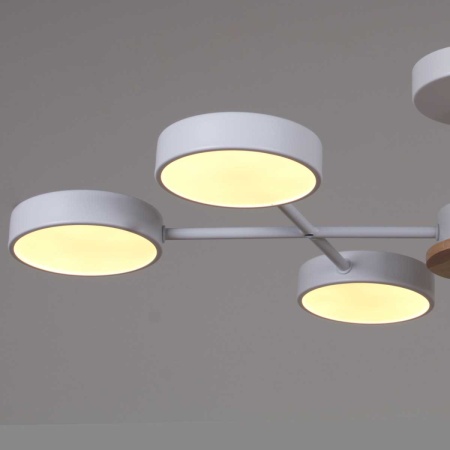 Светильник потолочный Reluce 03335-0.3-06 WH+WOOD