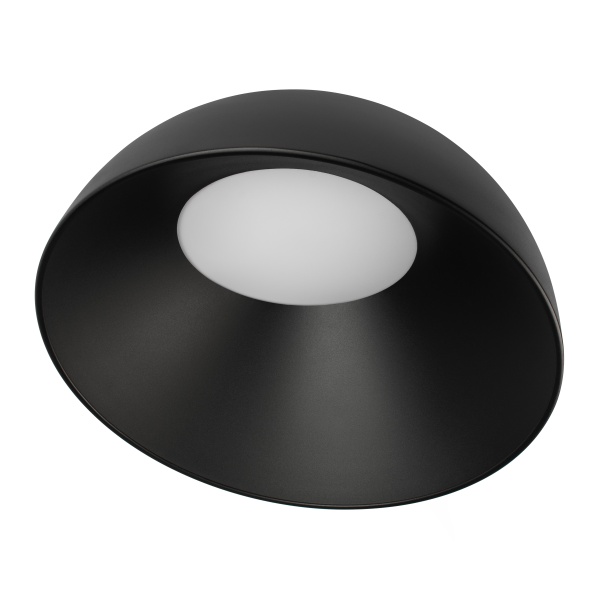 Потолочный светильник Loft it Egg 10197/500 BB