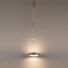 Подвесной светильник Odeon Light Riviera L-Vision 5450/32LA