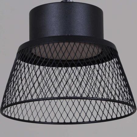 Люстра Reluce 01109-0.9-01 BK