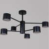 Потолочная люстра Reluce 47206-0.3-06BK