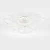 Потолочная светодиодная люстра Escada Avani 10258/6LED