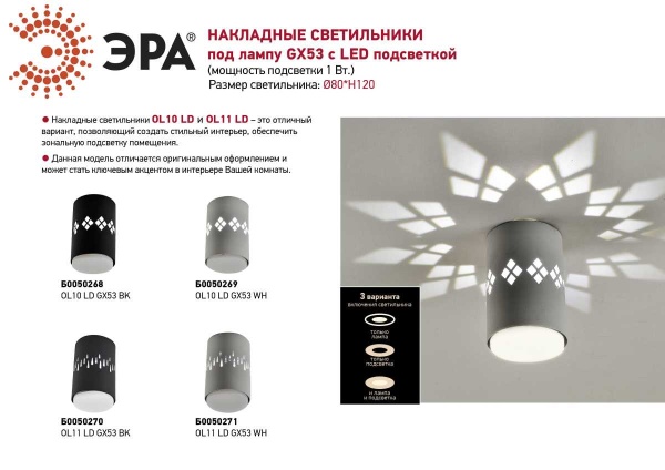 Накладной светильник ЭРА OL10 Б0050269
