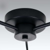 Потолочная люстра Lightstar Fico Ii 740137