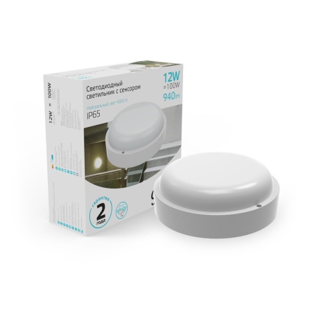 Потолочный светодиодный светильник Gauss Сауна 126411212