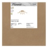 Потолочная люстра Freya Фиоресс / Fioress FR5571CL-09G