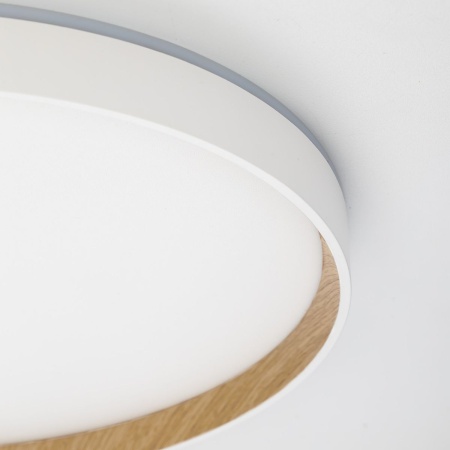 Потолочный светодиодный светильник Citilux Etalon CL750400R