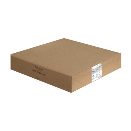 Потолочный светильник Freya Руа / Rua FR6160CL-L40B
