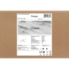 Потолочный светильник Freya Корона / Crown FR6119CL-L48W