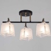Потолочная люстра Reluce 46460-0.3-03 BK+FG