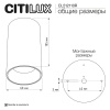 Потолочный светильник Citilux Axel CL512110R