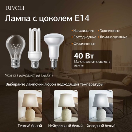 Настольная лампа Rivoli Naomi 7551-501 Б0070139