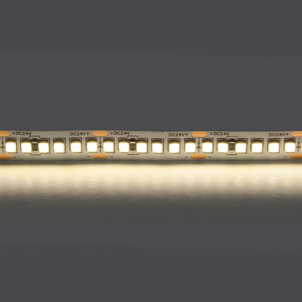 Светодиодная лента Lightstar 24W/m 240LED/m дневной белый 5M 421024