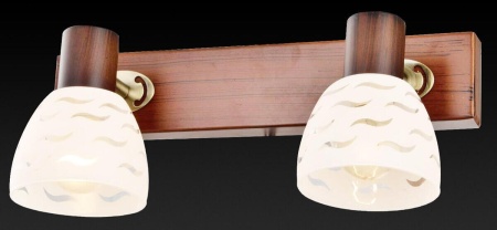 Спот Toplight Shayla TL3730Y-02BB