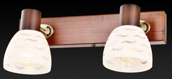 Спот Toplight Shayla TL3730Y-02BB