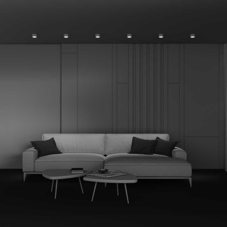 Потолочный светильник Maytoni Technical C001CL-GX53-W