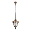 Уличный подвесной светильник Loft IT Alessano 100017P