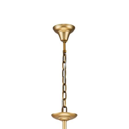 Подвесная люстра Favourite Sollemnis 2621-8P